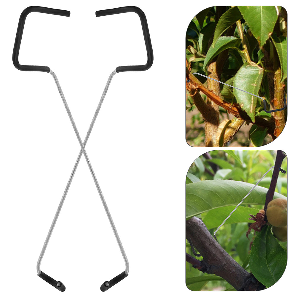 Bonsai Garden Usa - Bonsai Branch Trunk Trainer 10pcs Fruit