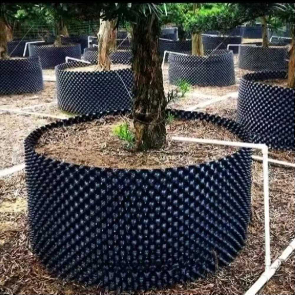 Bonsai Garden Usa - Grow Container Garden Tree Bonsai Transplant
