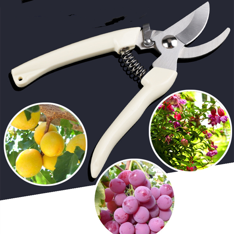 Bonsai Garden Usa - Pruner Orchard and The Garden Hand