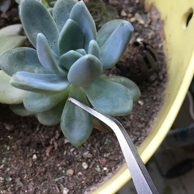 D8KF Durable Gardening Rake Mi - Bonsai Garden Shop recensie en prijs