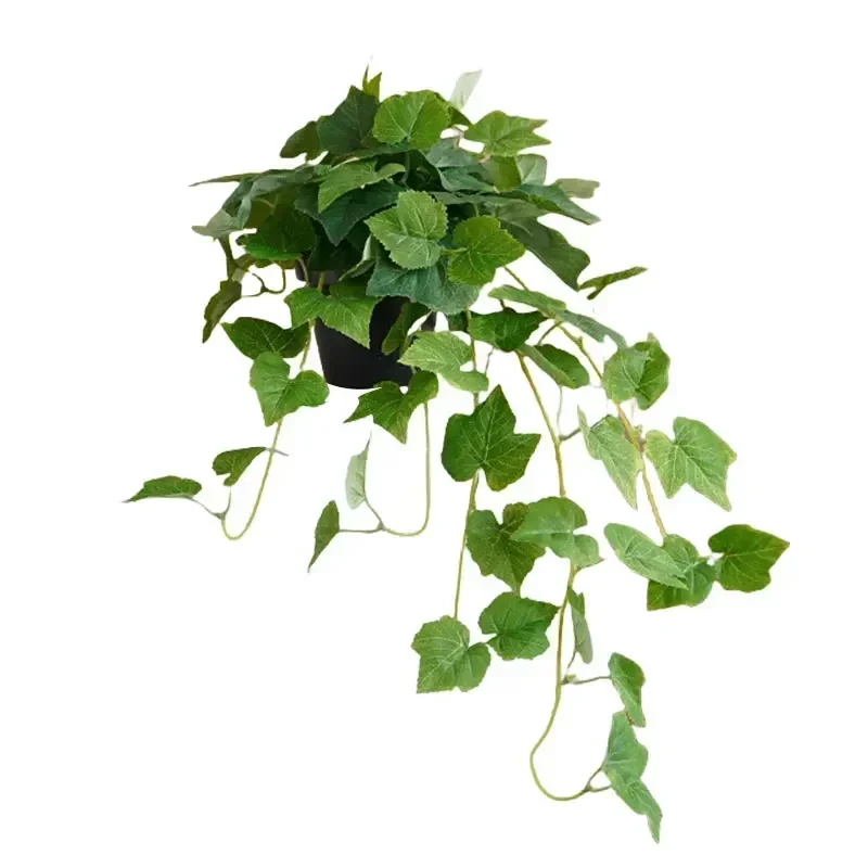 Garden Decoration Length Is Ab - Bonsai Garden Set Up recensie en prijs