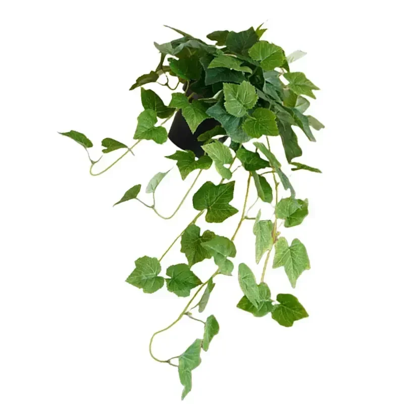 Garden Decoration Length Is Ab - Bonsai Garden Set Up recensie en prijs