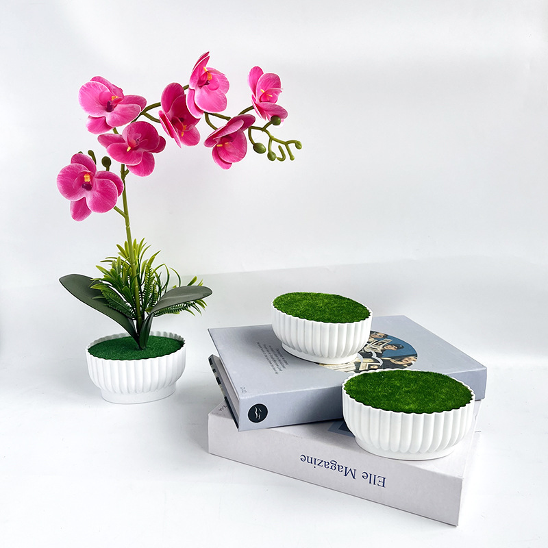 Corrosion resistant injection  - Bonsai Garden Shop recensie en prijs