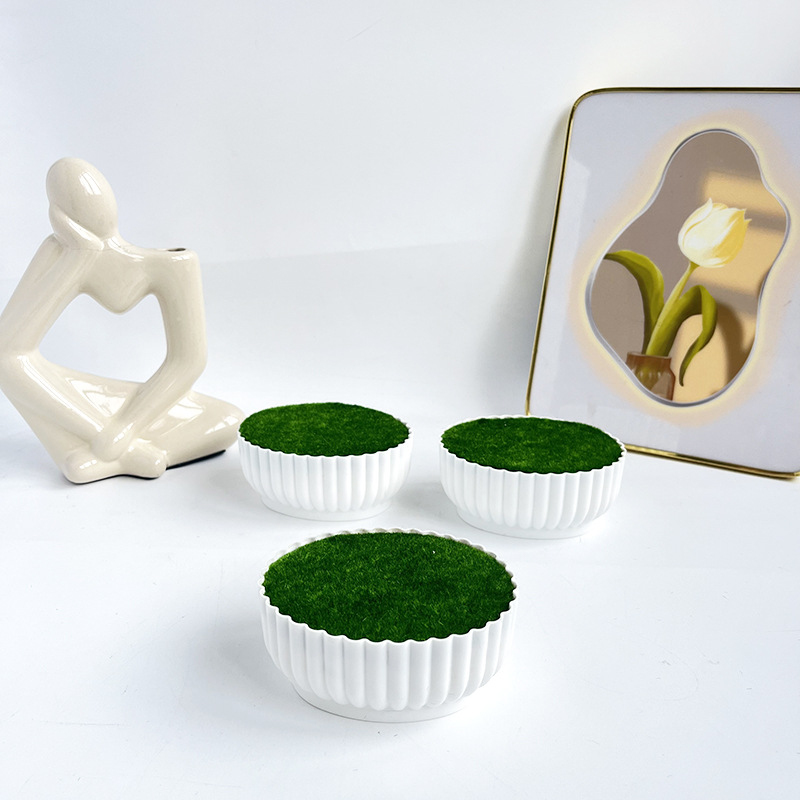 Corrosion resistant injection  - Bonsai Garden Shop recensie en prijs