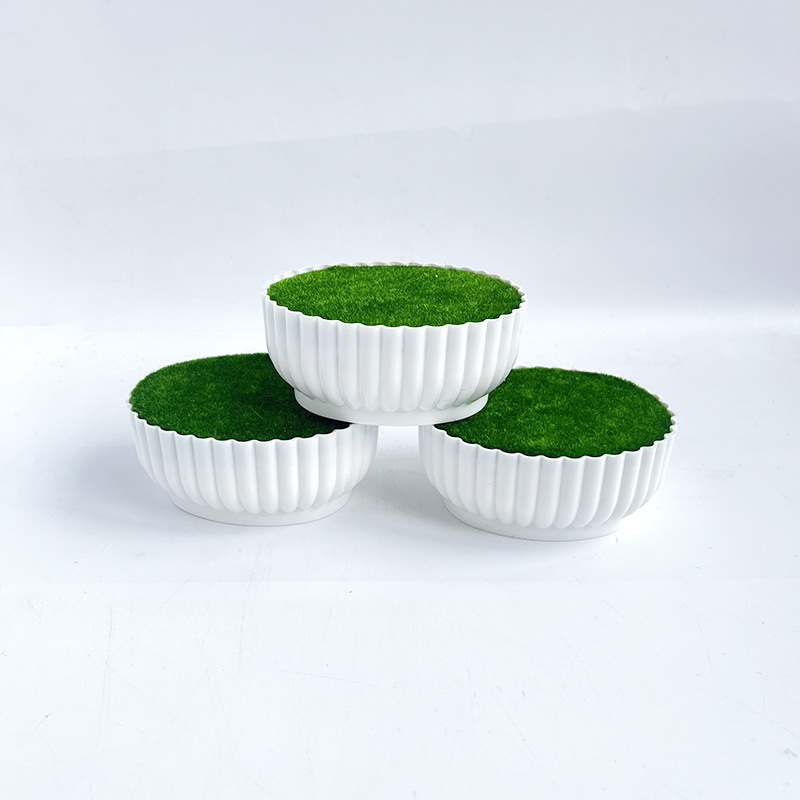 Corrosion resistant injection  - Bonsai Garden Shop recensie en prijs