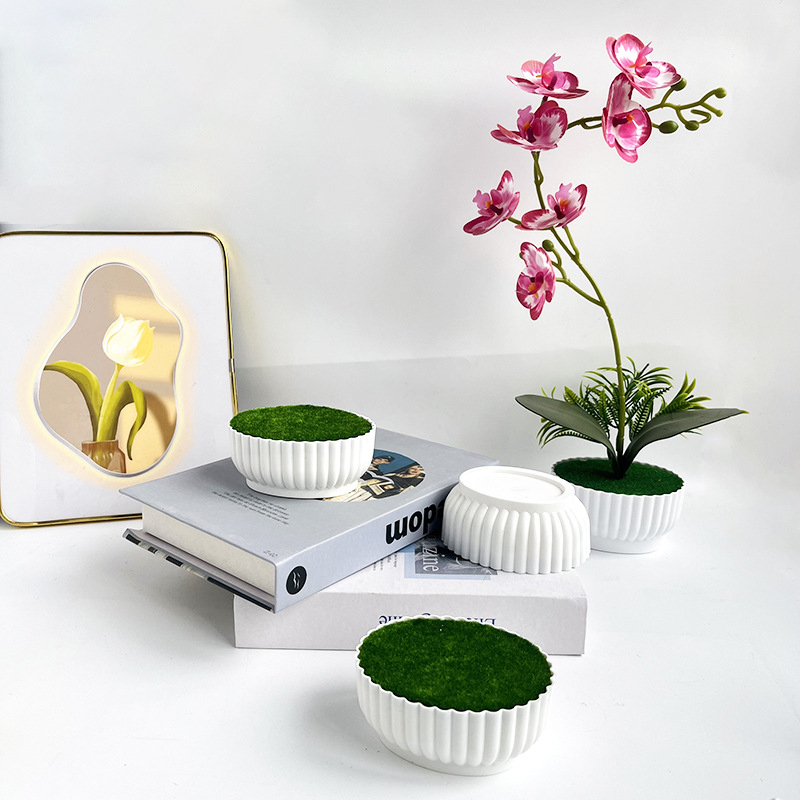 Corrosion resistant injection  - Bonsai Garden Shop recensie en prijs