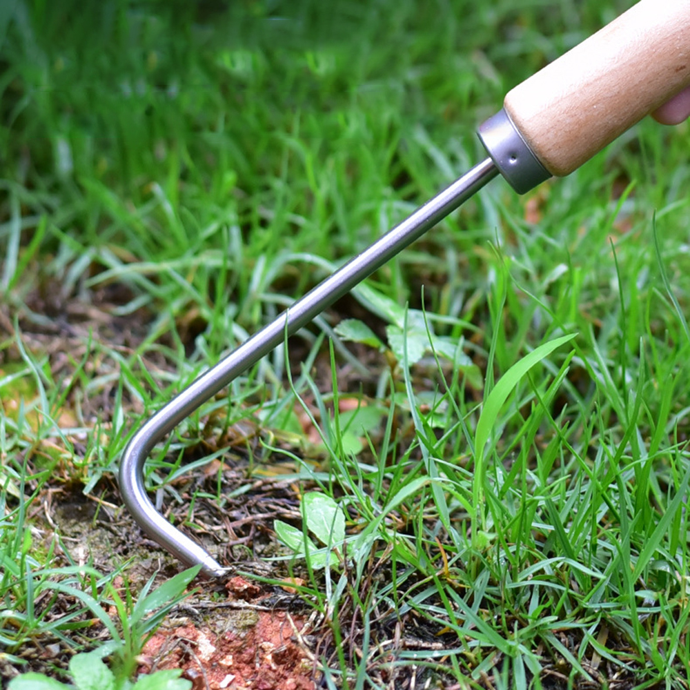 1PC Single Claw Hook Soil Loos - Bonsai Garden Plants recensie en prijs