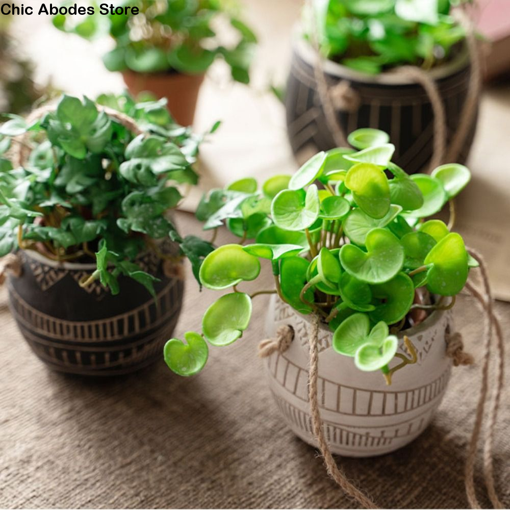 Green Garden Home Shop for Win - Bonsai Garden Shop recensie en prijs