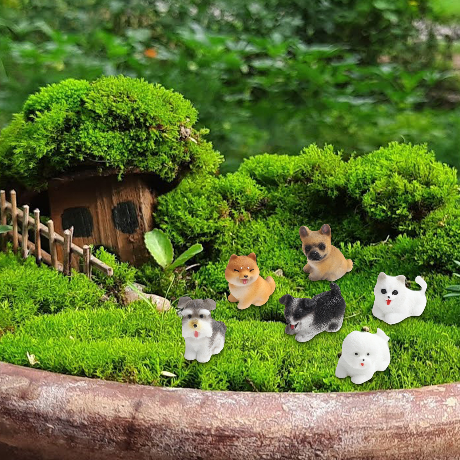 Fairy Garden Decor Miniature D - Bonsai Garden Set Up recensie en prijs