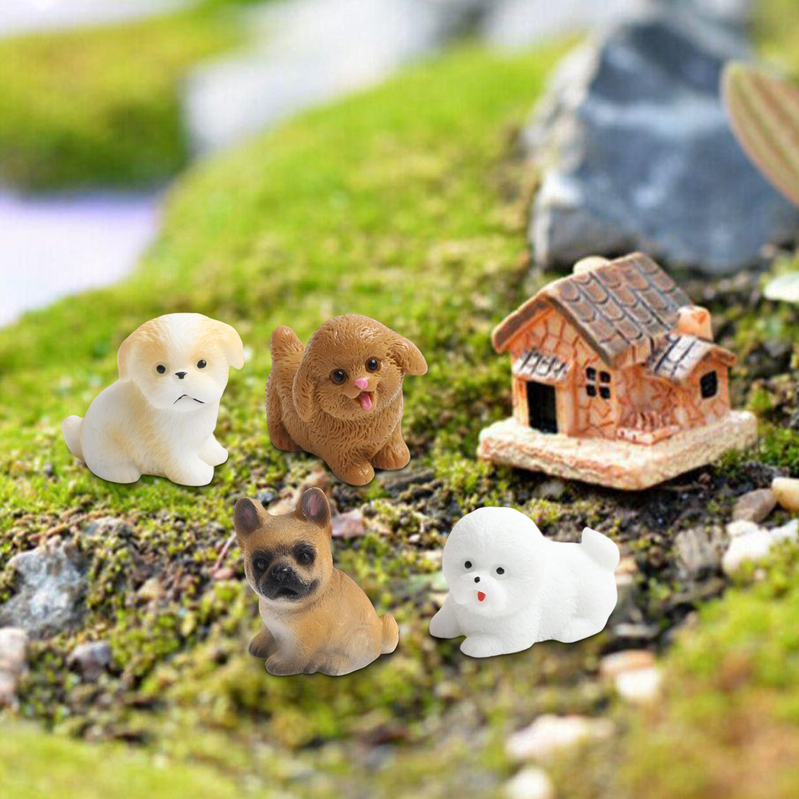 Fairy Garden Decor Miniature D - Bonsai Garden Set Up recensie en prijs