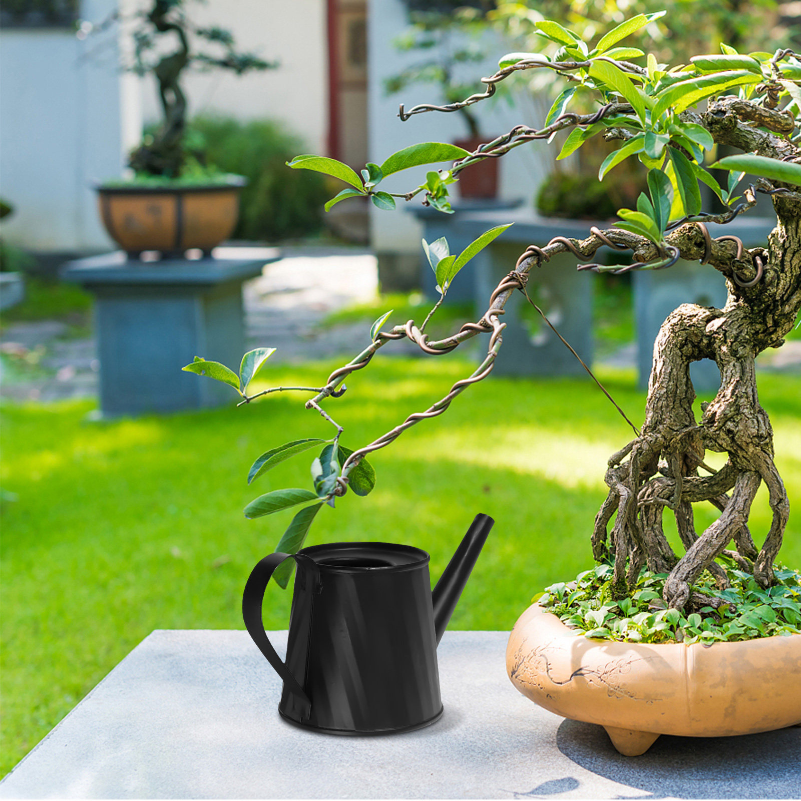 Mini Watering Can for Indoor P - Bonsai Garden Plants recensie en prijs