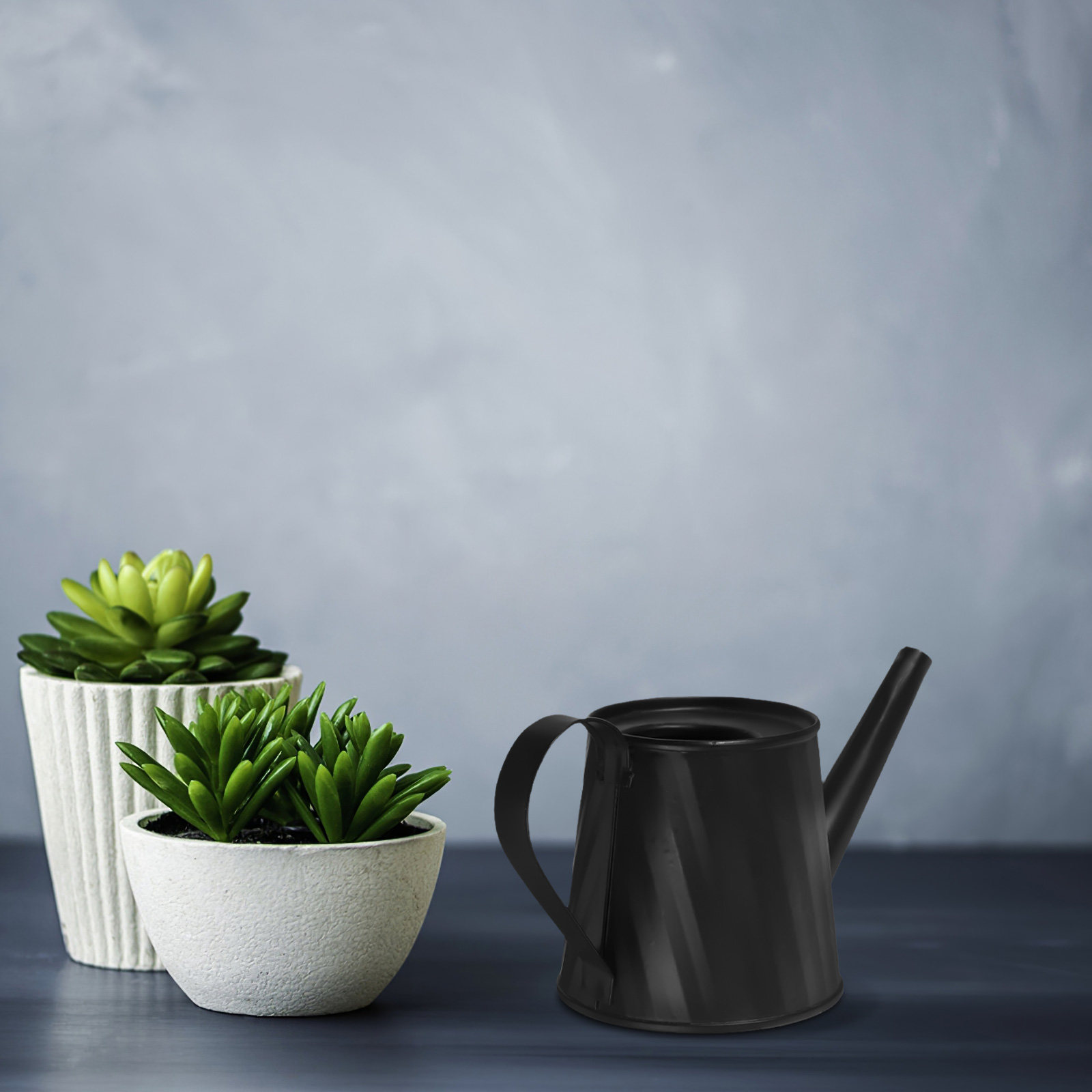 Mini Watering Can for Indoor P - Bonsai Garden Plants recensie en prijs