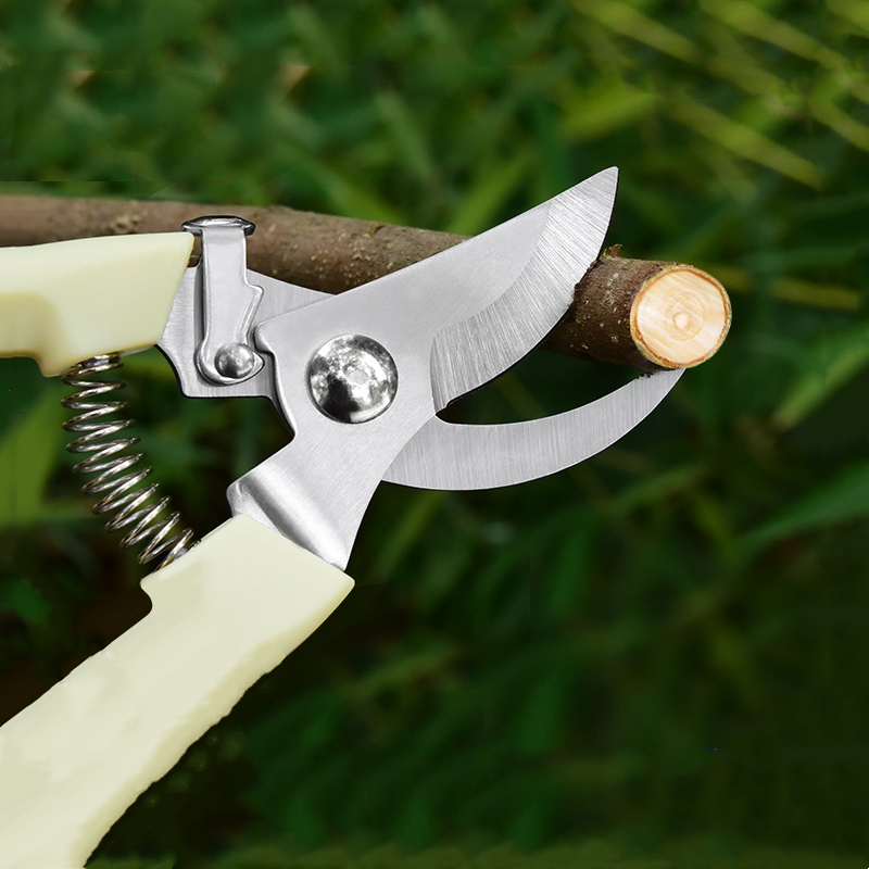 Pruner Orchard and The Garden  - Bonsai Garden Usa recensie en prijs