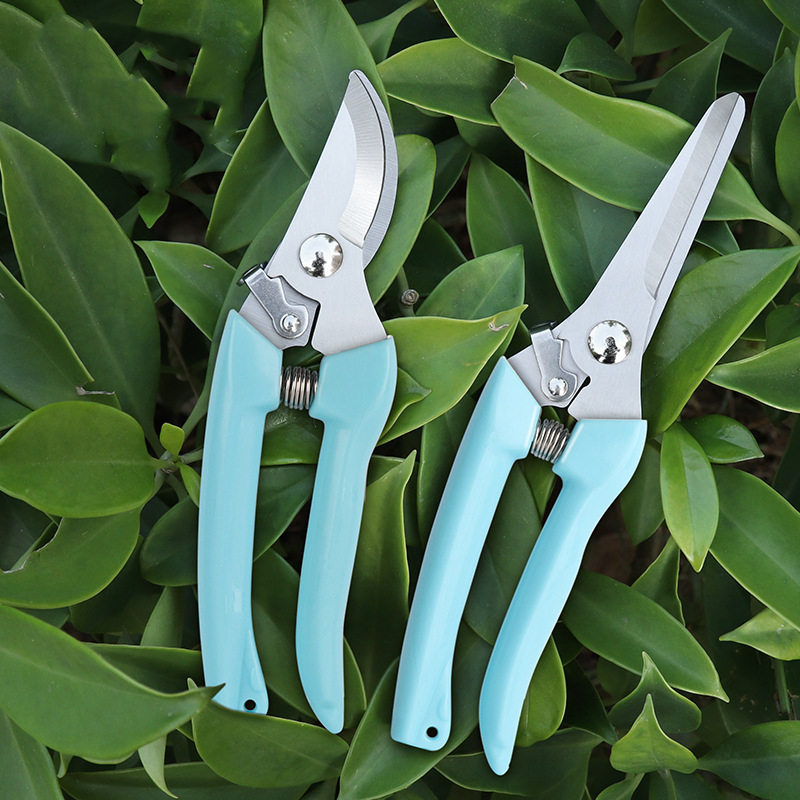 Pruner Orchard and The Garden  - Bonsai Garden Usa recensie en prijs