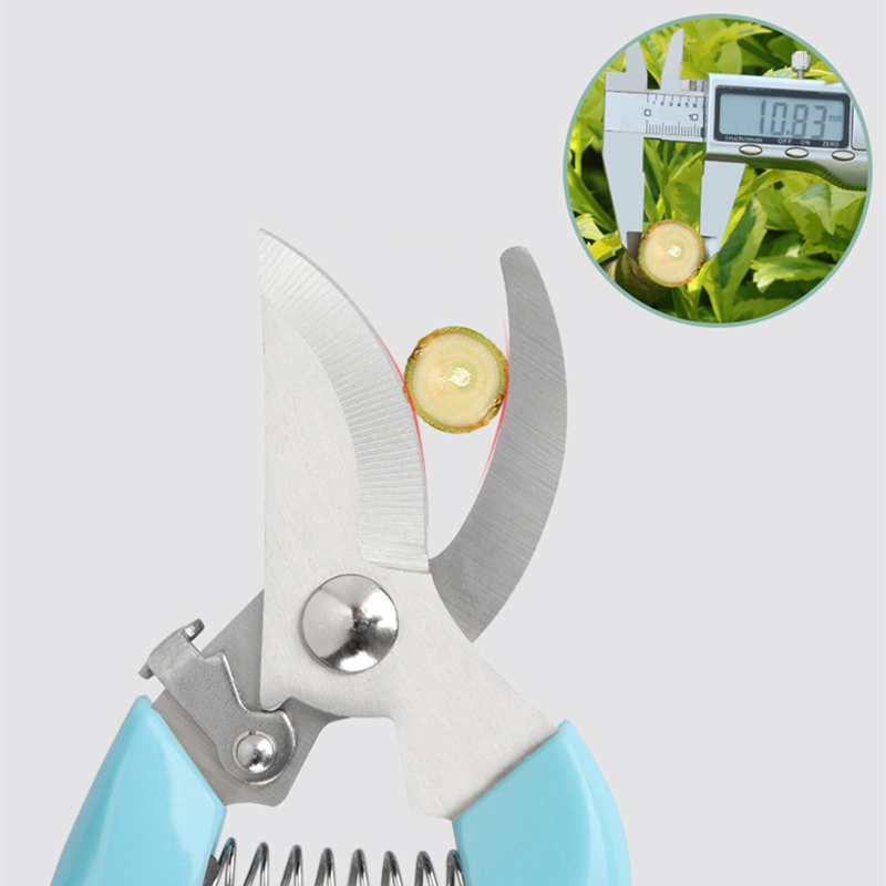 Pruner Orchard and The Garden  - Bonsai Garden Usa recensie en prijs