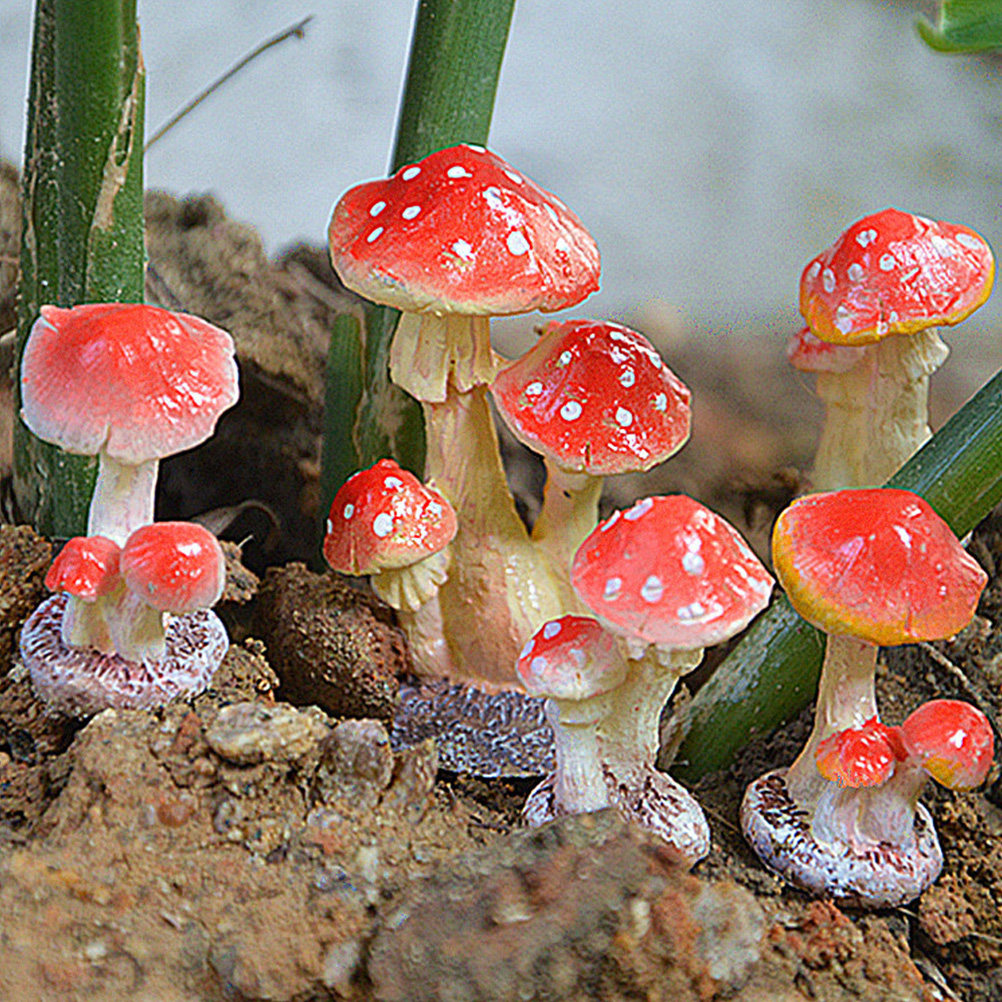 Mushroom Shaped Resin Garden O - Bonsai Garden Set Up recensie en prijs