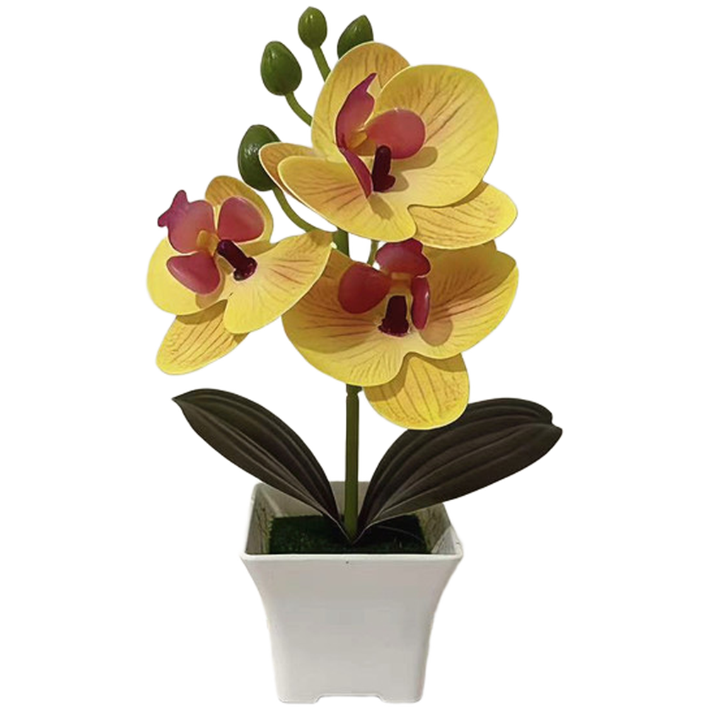 Plastic Phalaenopsis Orchid Fl - Bonsai Garden Set Up recensie en prijs