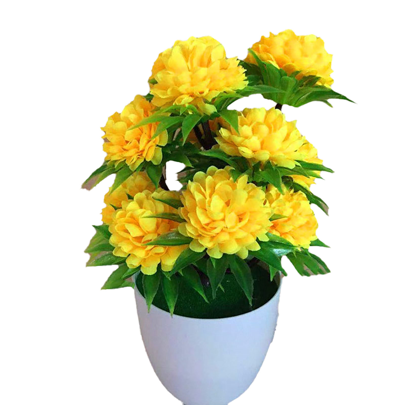 Beautiful Decoration Stylish A - Bonsai Garden Shop recensie en prijs