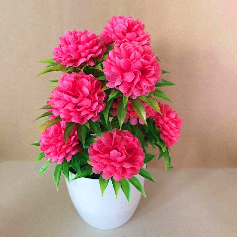 Beautiful Decoration Stylish A - Bonsai Garden Shop recensie en prijs