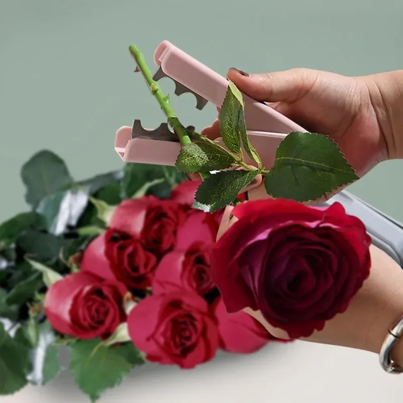 Rose Thorn Remover, Flower Tho - Bonsai Garden Shop recensie en prijs