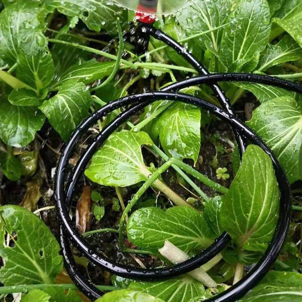 Garden Watering Hose Drip Irri - Bonsai Garden Youtube recensie en prijs