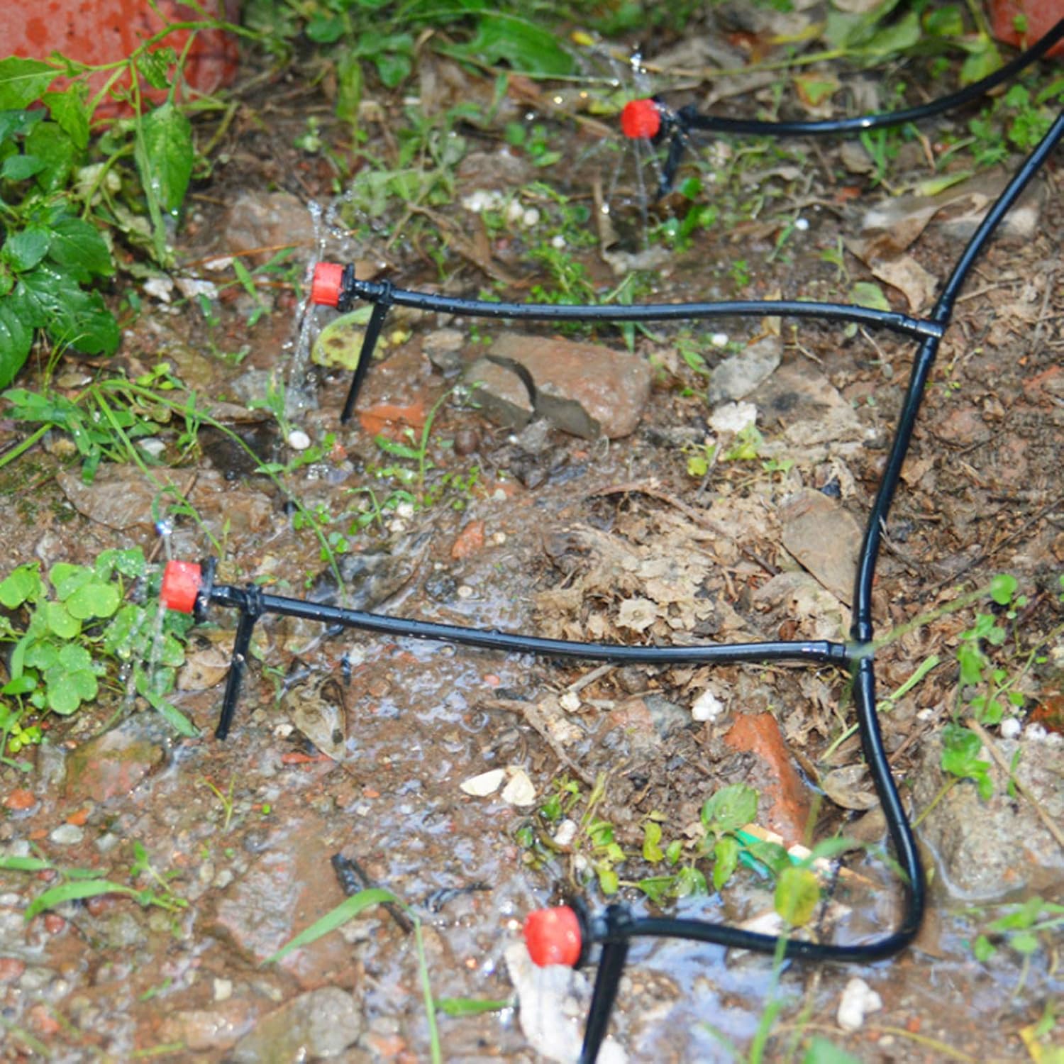 Garden Watering Hose Drip Irri - Bonsai Garden Youtube recensie en prijs
