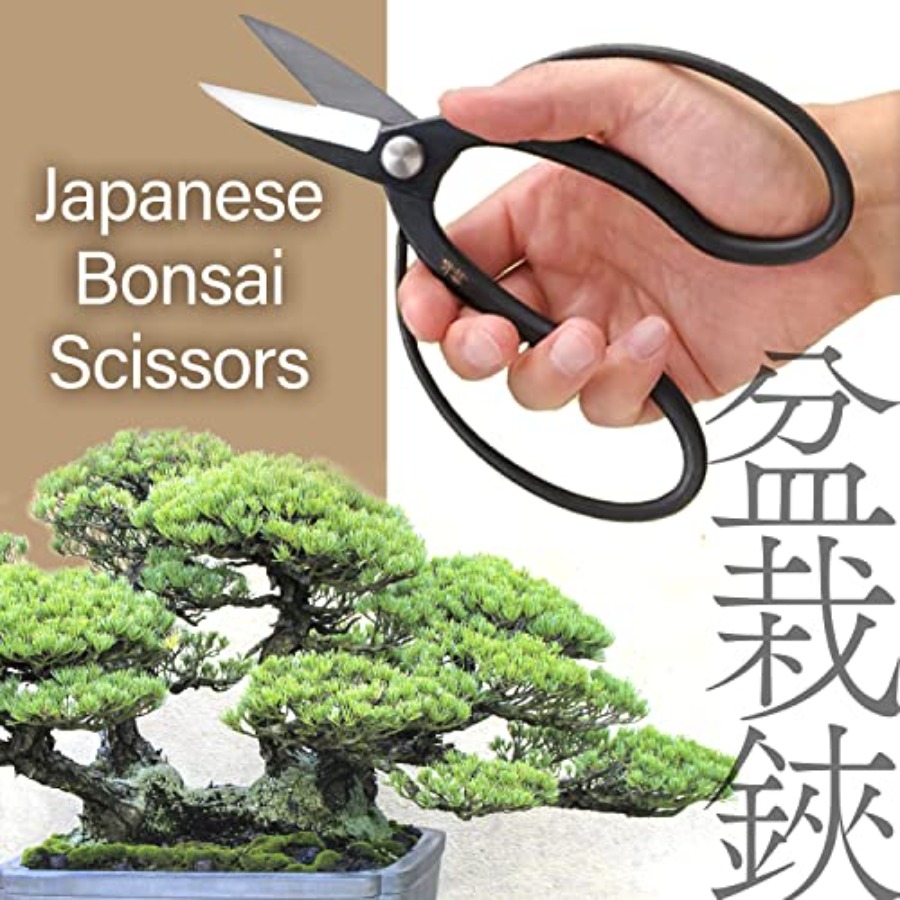 Japanese Suiryu Bonsai Scissor - Bonsai Garden In Japan recensie en prijs