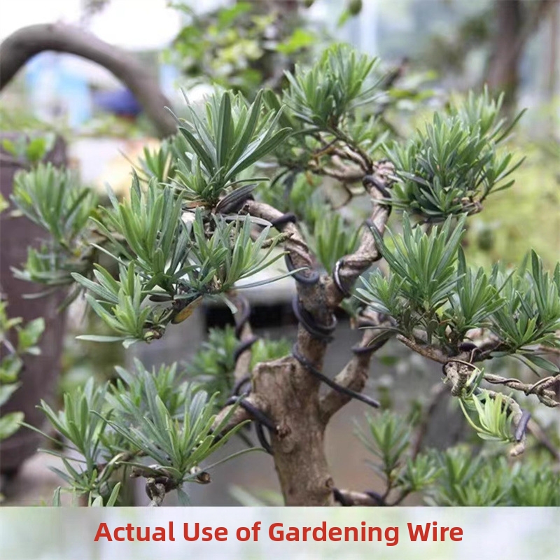 1.5MM Bonsai Wires Aluminum Bo - Bonsai Garden Plants recensie en prijs