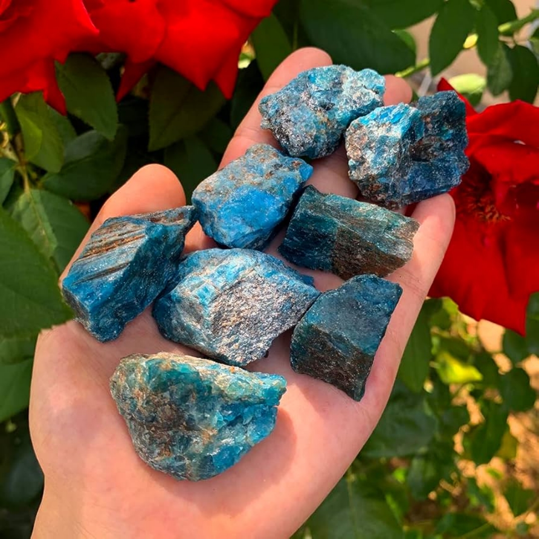 40g/120g/240g Natural Blue Apa - Bonsai Garden Gift recensie en prijs