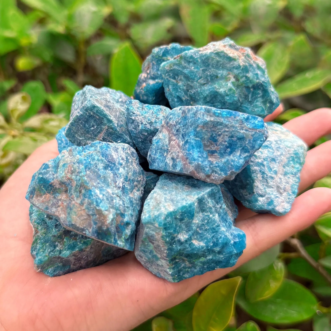 40g/120g/240g Natural Blue Apa - Bonsai Garden Gift recensie en prijs