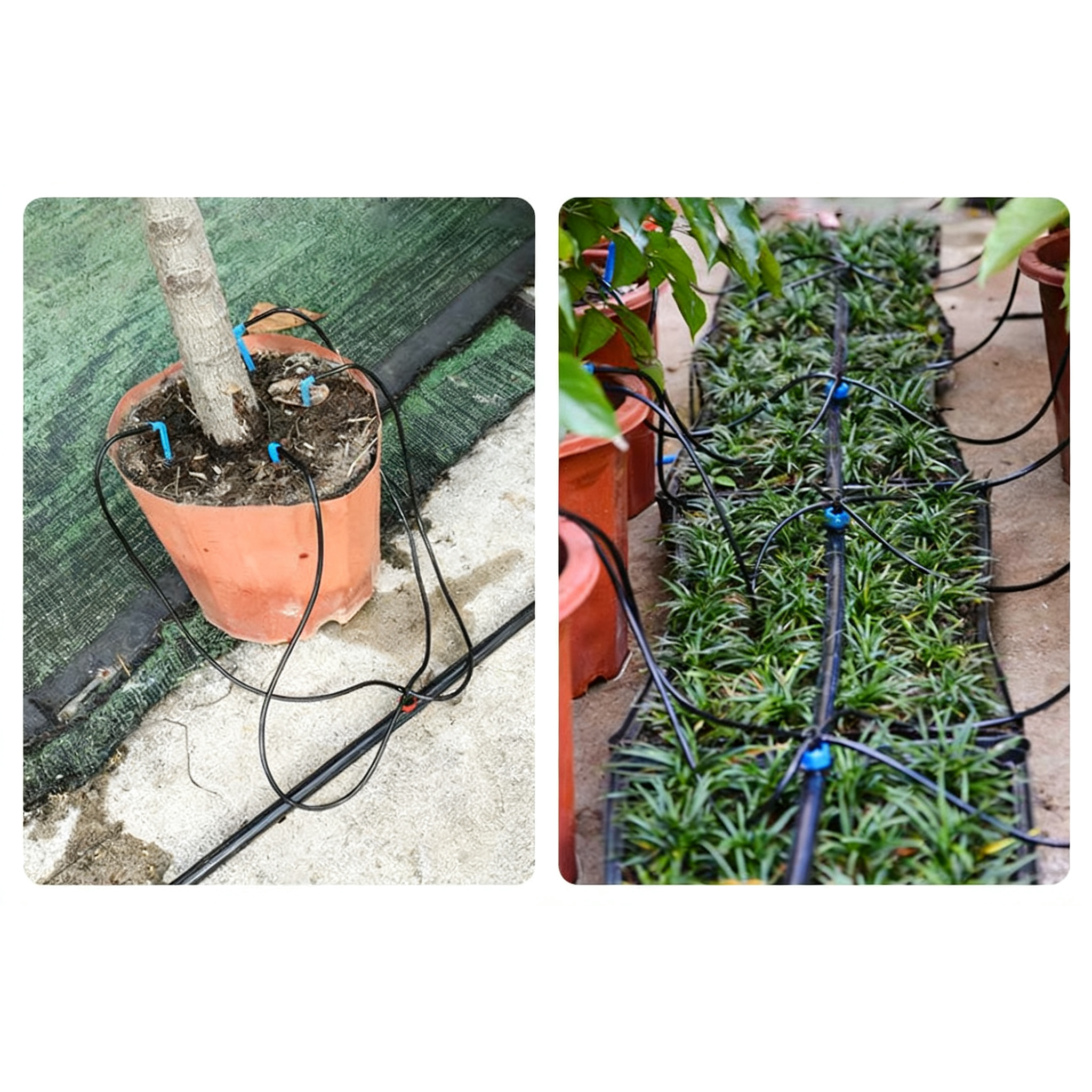 10m 3/5mm Micro Drip Irrigatio - Bonsai Garden Youtube recensie en prijs