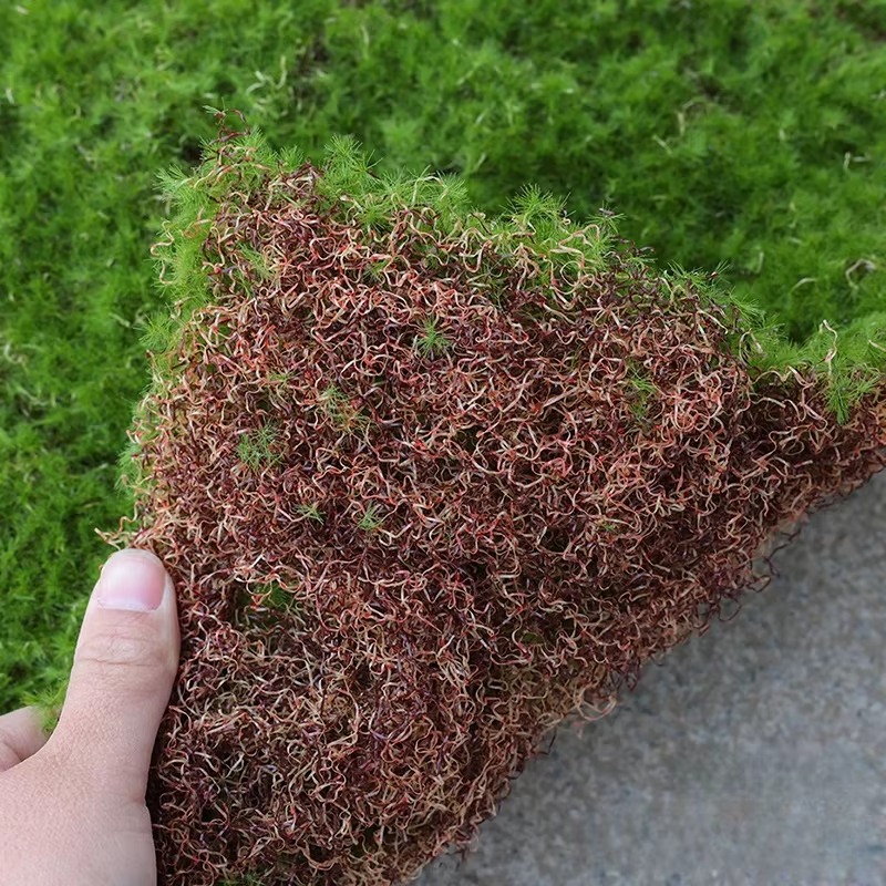 Artificial Grass Mat Green Sim - Bonsai Garden Shop recensie en prijs