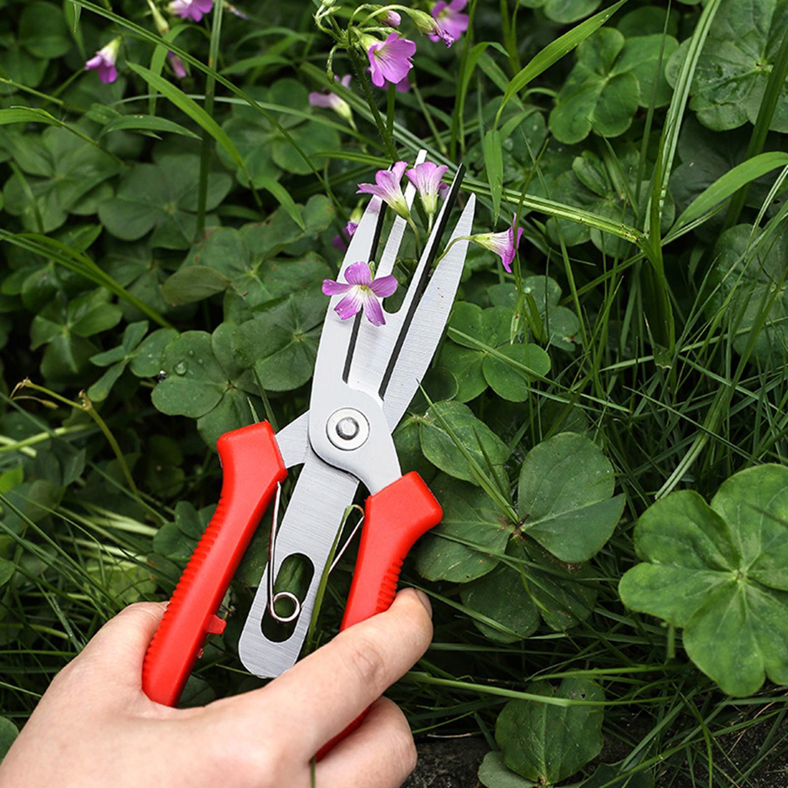 Garden Shears Stainless Steel  - Bonsai Garden Plants recensie en prijs
