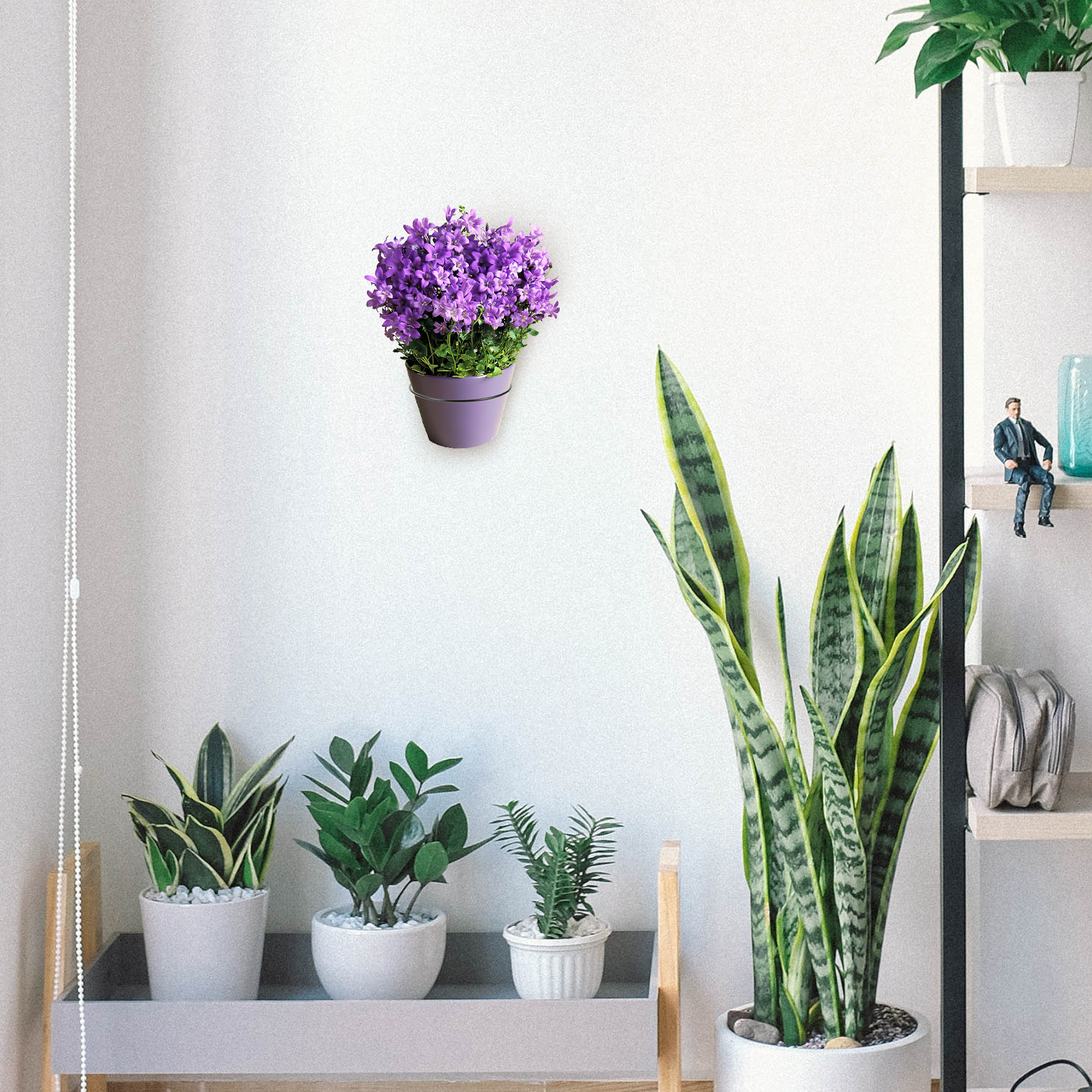 Iron Wall-Mounted Flowerpot Ra - Bonsai Garden Plants recensie en prijs