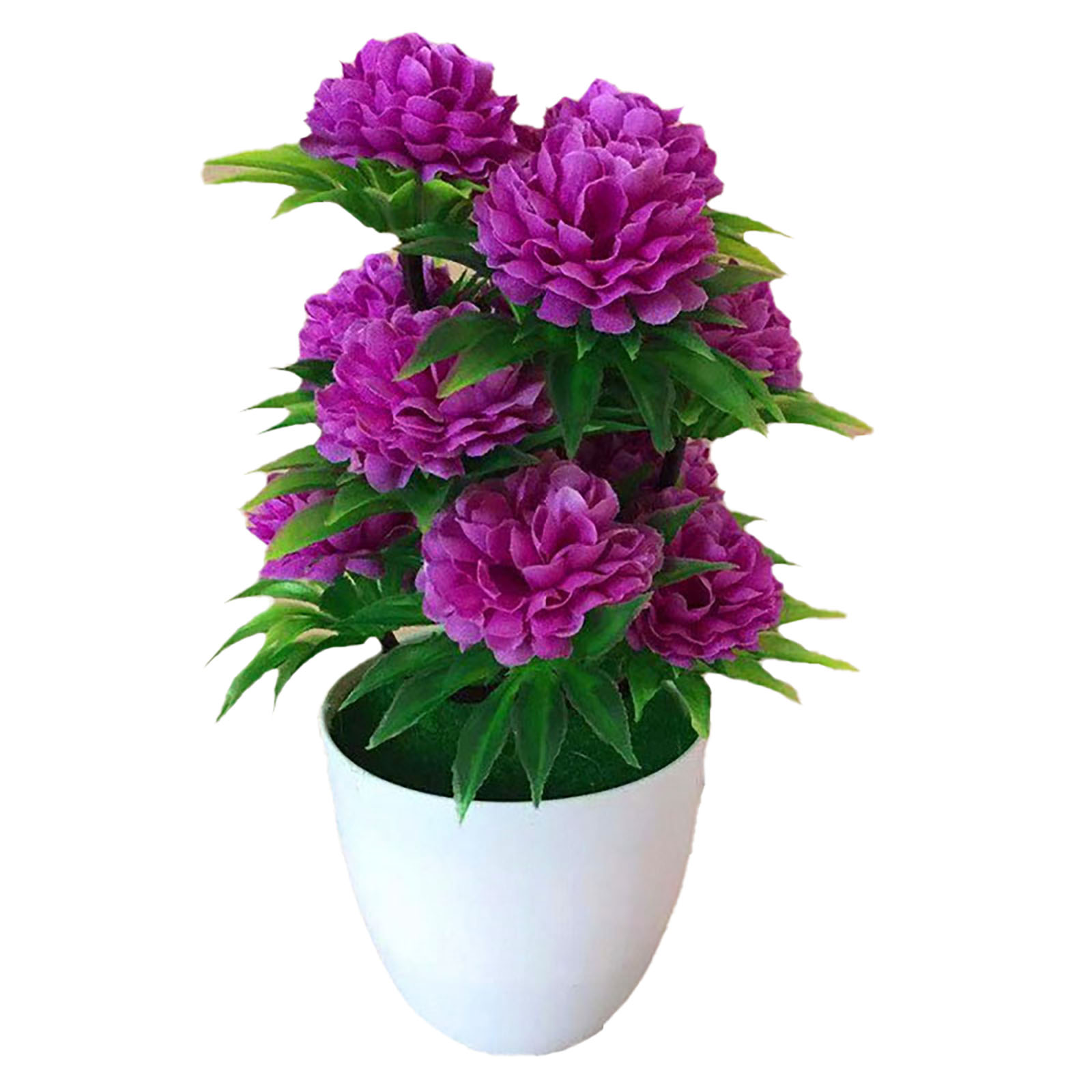 Beautiful Decoration Stylish A - Bonsai Garden Shop recensie en prijs