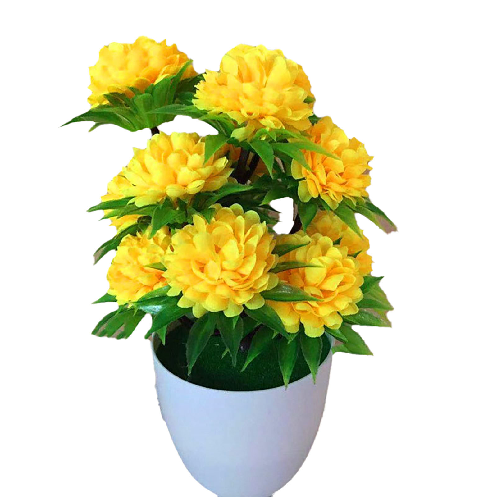 Beautiful Decoration Stylish A - Bonsai Garden Shop recensie en prijs