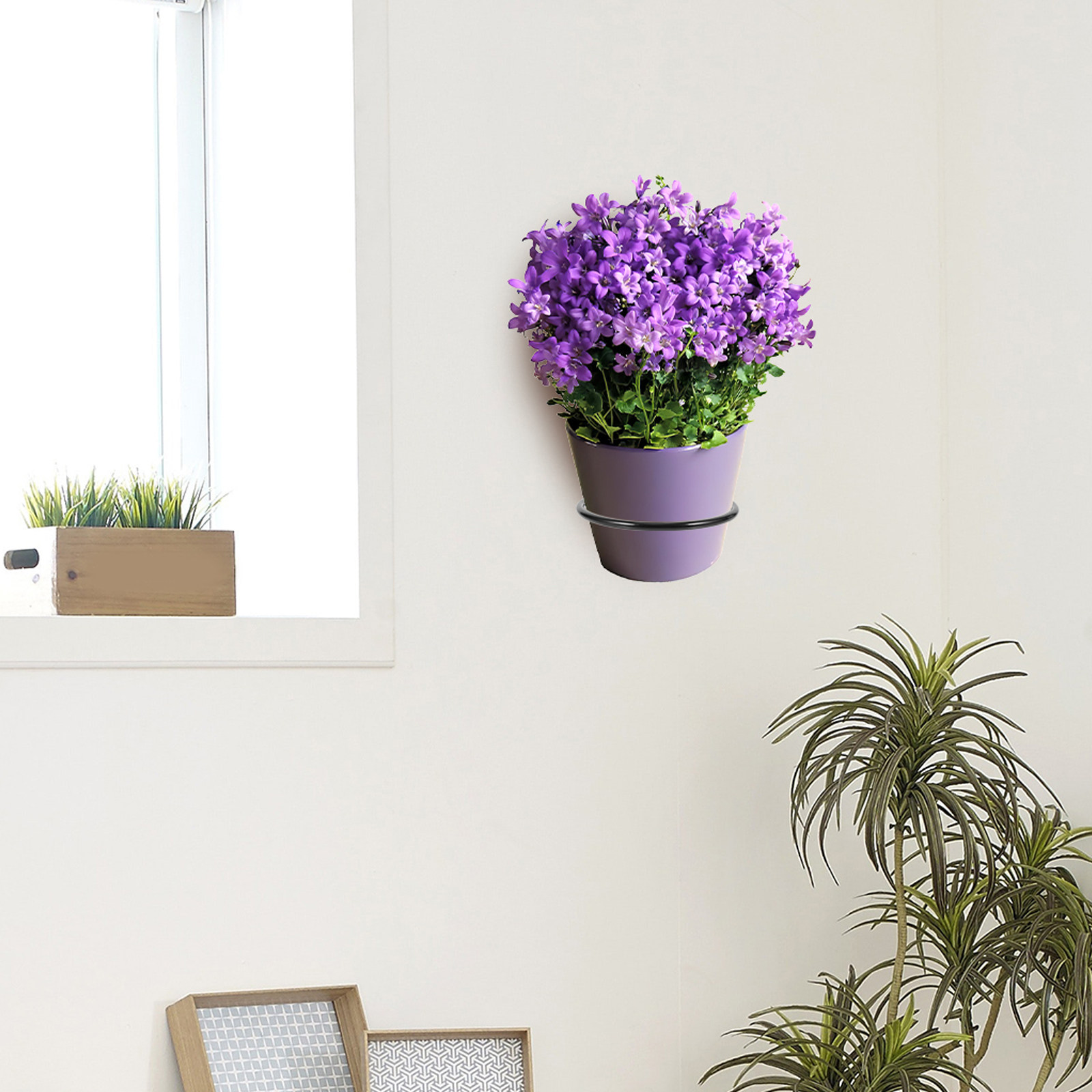 3Pcs Wall-Mounted Plant Pot Ri - Bonsai Garden Plants recensie en prijs